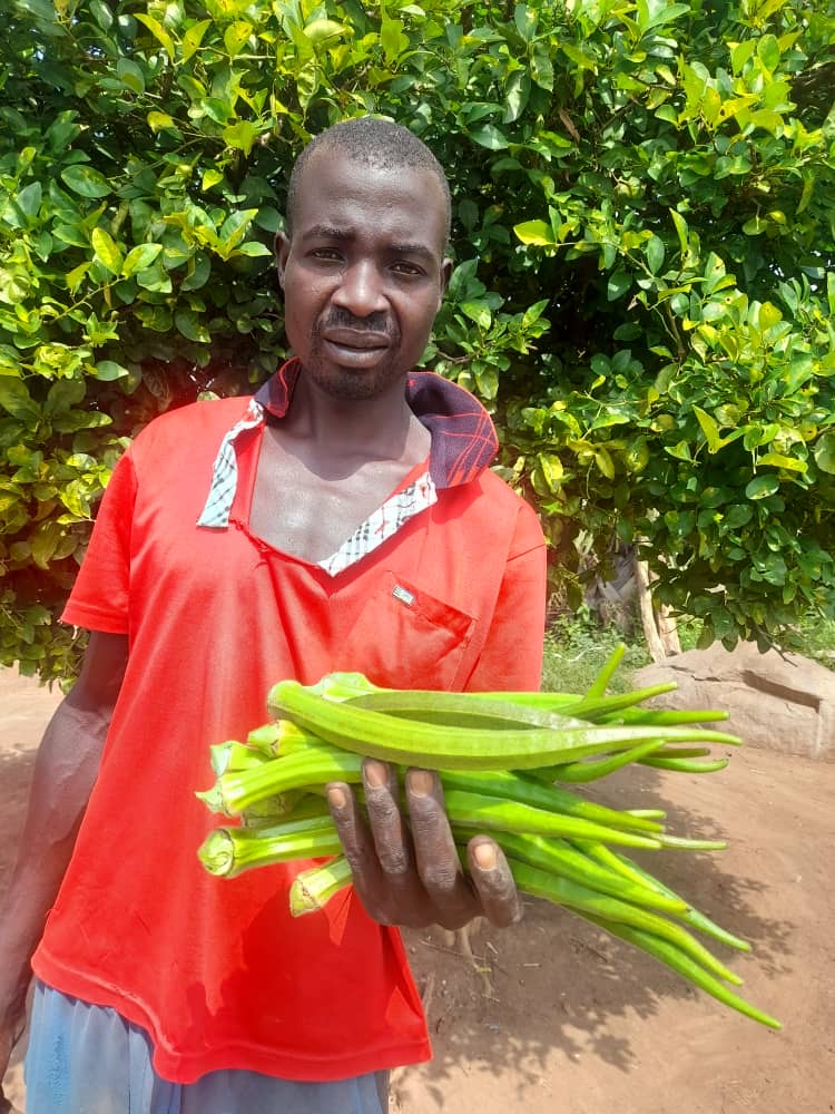 Cutting post-harvest losses & aflatoxin