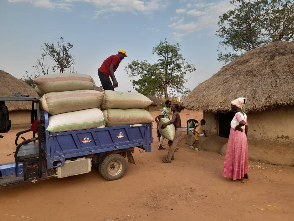 NUTOFA SACCO LTD members produce market sourcing